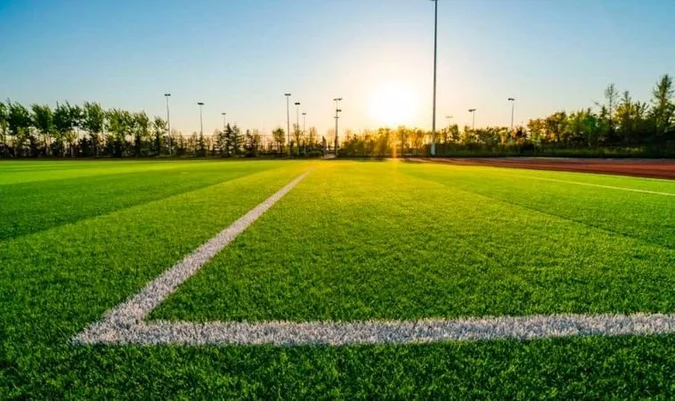 Quy Định Về Các Đường Kẻ Và Khu Vực Cấm Địa